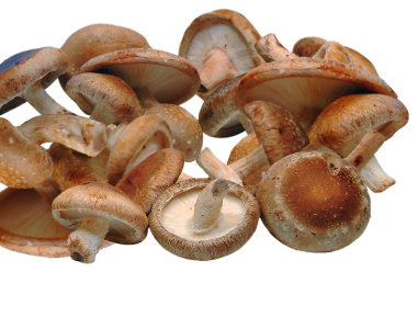 screenshot-2026-03-27-153038.png