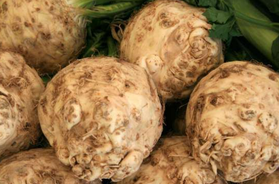 screenshot-2026-03-27-160735.png